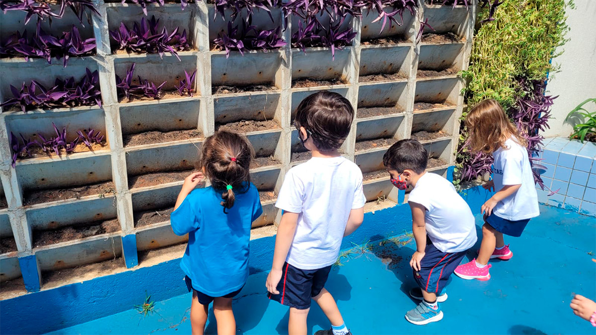 Foto de alunos que observam plantas em nichos da parede